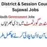 Govt Jobs In Sindh Today 2023 At District & Session Court Sujawal