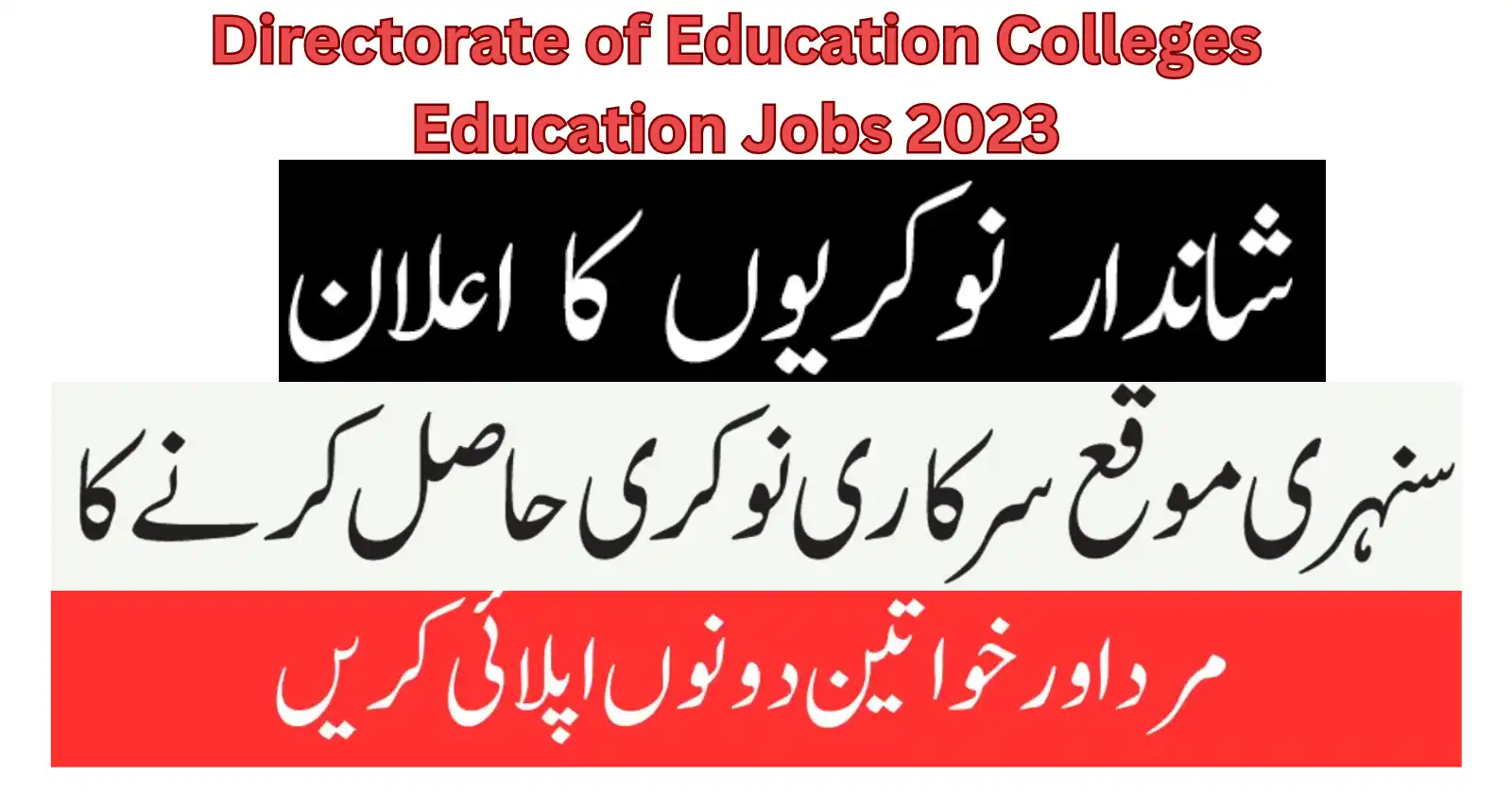 Directorate of Education Colleges Education Jobs 2023