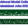 Govt Teaching Jobs In Faisalabad Today 2023 At Divisional Model College