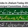 Govt Jobs In Jhelum Today 2023 At Municipal Committee Jhelum