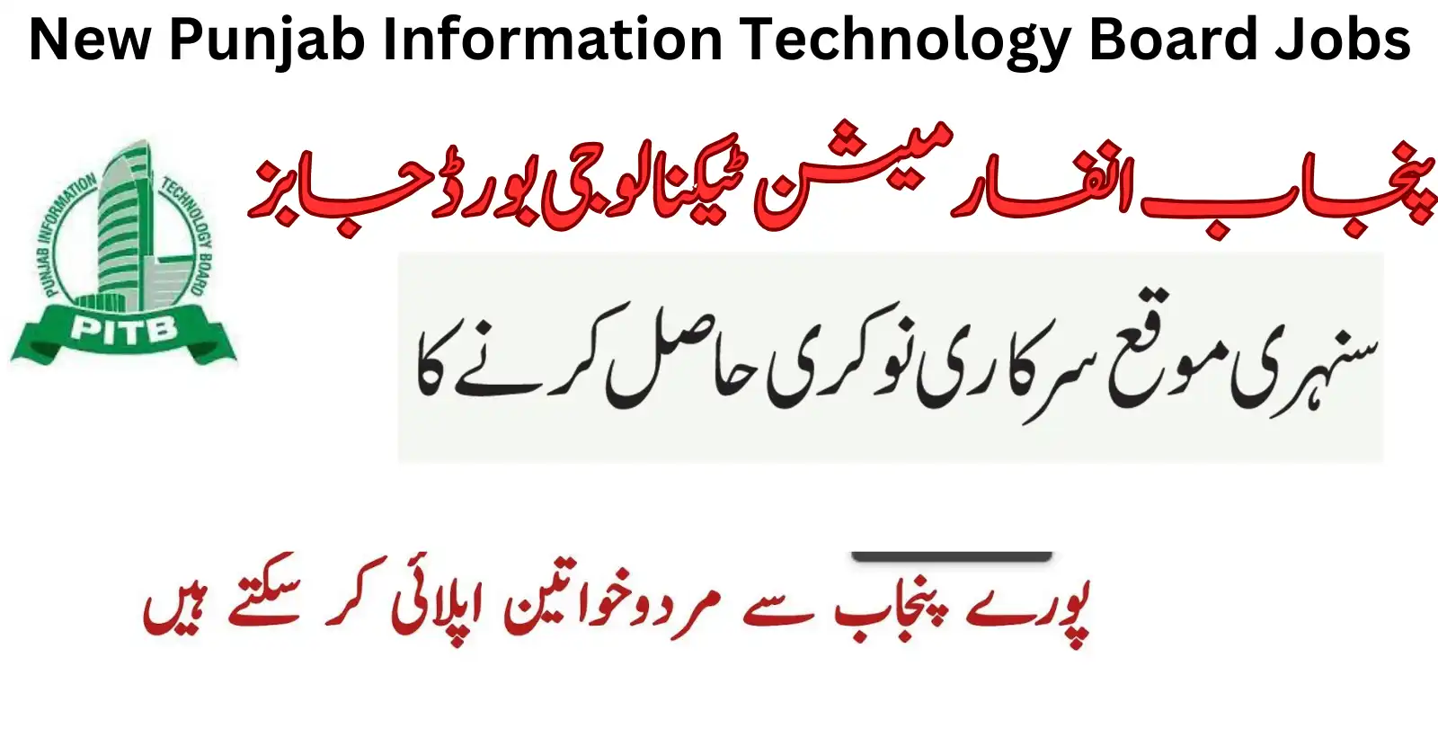 Punjab Information Technology Board PITB Jobs 2023