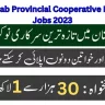 Punjab Provincial Cooperative Bank PPCBL Jobs 2023