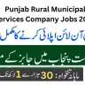 Govt Jobs In Punjab Today 2023 At Rural Municipal Services Company