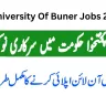 Latest Govt Jobs In KPK Today At University Of Buner